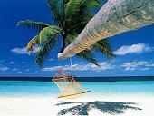 اضغط على الصورة لعرض أكبر.
الإسم: relax.jpg
مشاهدات: 2
الحجم: 172.7 كيلوبايت
الهوية: 6680