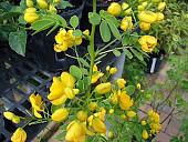 اضغط على الصورة لعرض أكبر. 
الإسم:	butterfly_garden019.jpg 
مشاهدات:	116 
الحجم:	42.2 كيلوبايت 
الهوية:	9706